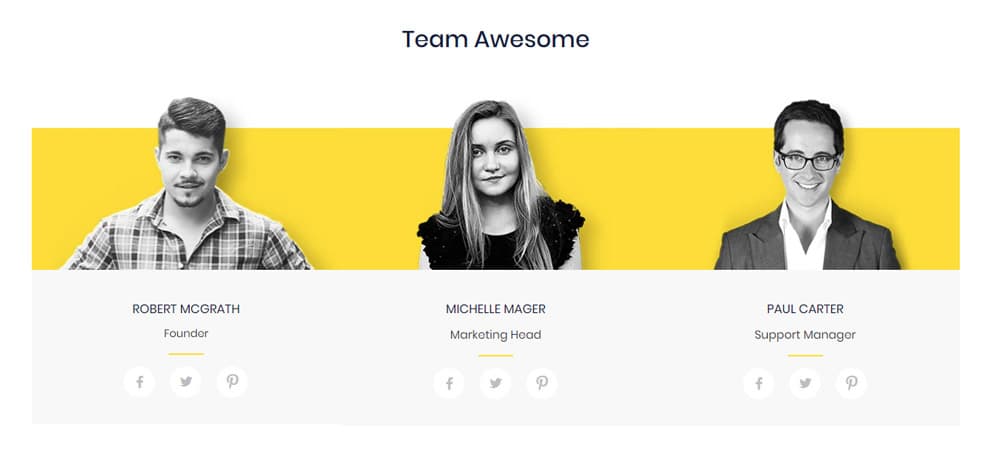 Team page example